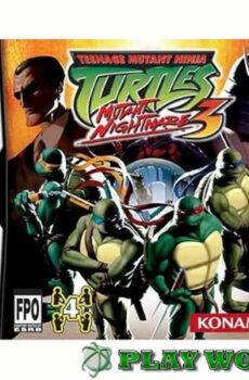 TEENAGE MUTANT NINJA TURTLES: Mutant Nightmare 3  - USATO DS
